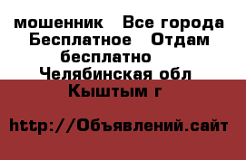 мошенник - Все города Бесплатное » Отдам бесплатно   . Челябинская обл.,Кыштым г.